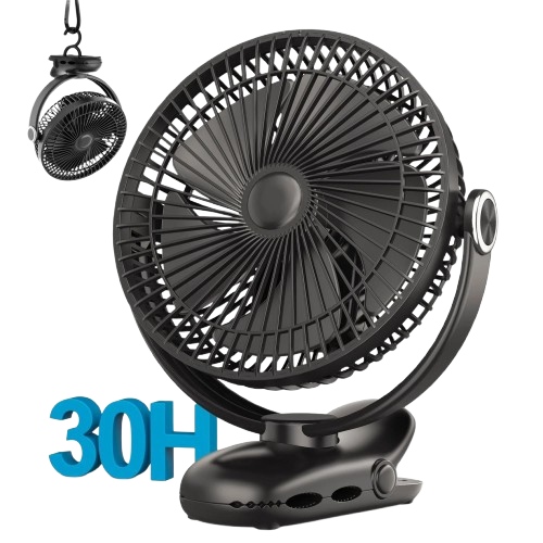 Portable Fan